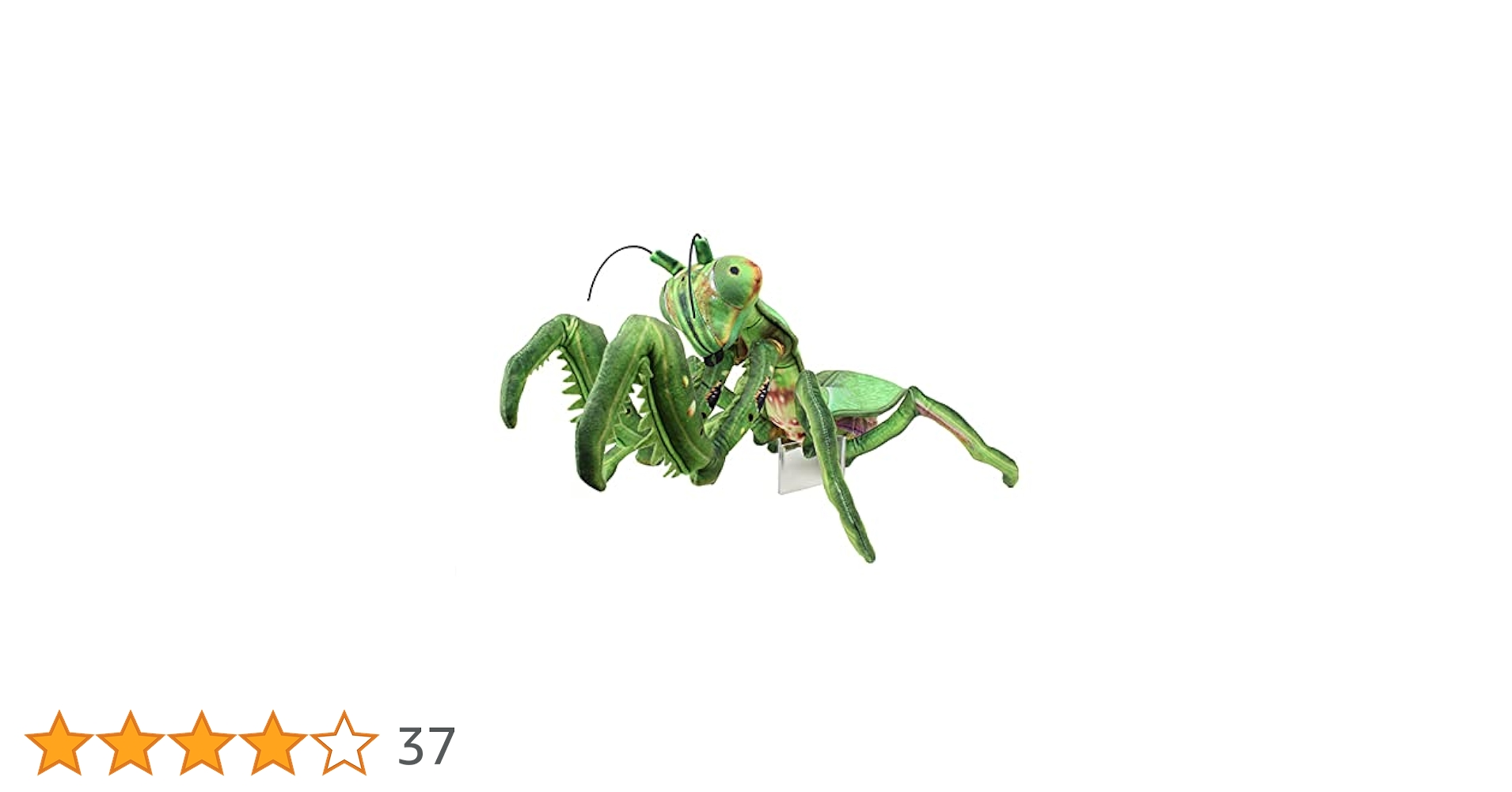 41JiqSdV+hL.jpg_BO30,255,255,